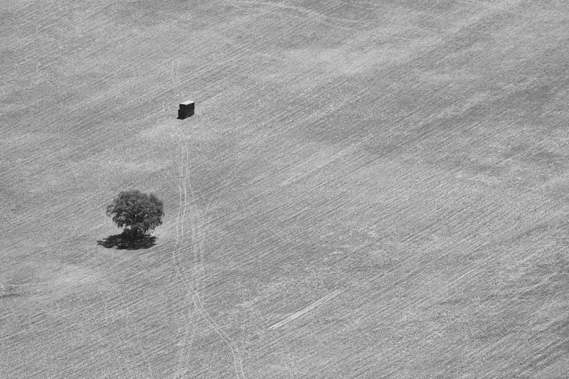 Montaña de árbol y cuadrado