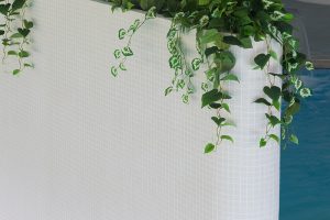 Fotografia de producto